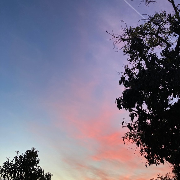 Meet your Posher, Jonna - Picture 1 of 1